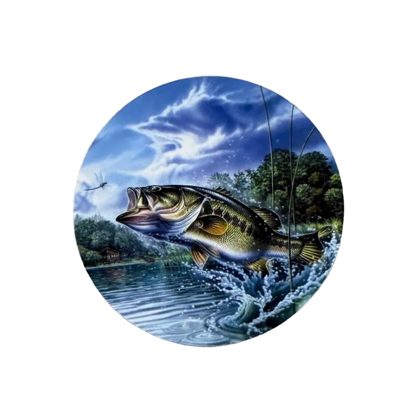 Scenic Bass